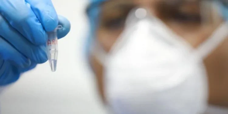 Viruela del mono: el brote actual presenta síntomas que difieren de los típicos de la enfermedad