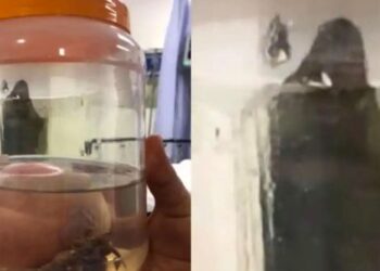 ¡Qué miedo! Se aparece La Muerte en un quirófano de Hermosillo, Sonora