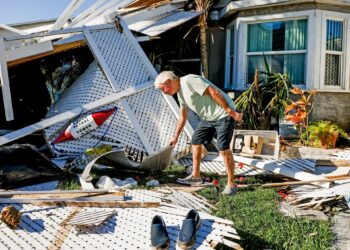 Advierten en Florida por caimanes, serpientes y osos en zonas urbanas tras huracán Ian