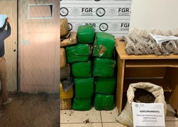 Asegura Mesa Estatal de Seguridad 137 kilos de marihuana en Puerto Peñasco