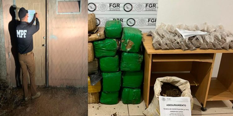 Asegura Mesa Estatal de Seguridad 137 kilos de marihuana en Puerto Peñasco