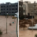 5 muertos por inundaciones en Turquía en zonas dañadas por sismos