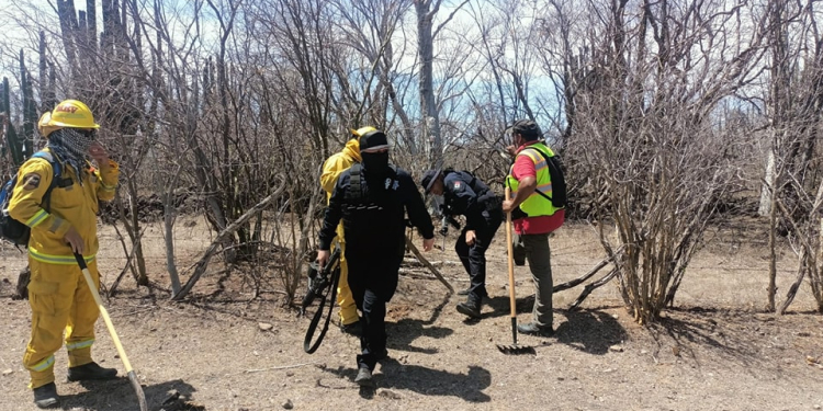 MANTIENE PROTECCIÓN CIVIL SONORA COMBATE A INCENDIOS FORESTALES