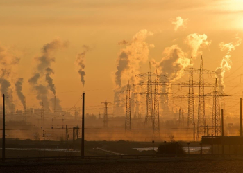 Cambio climático: últimos 8 años han sido los más calientes de la historia