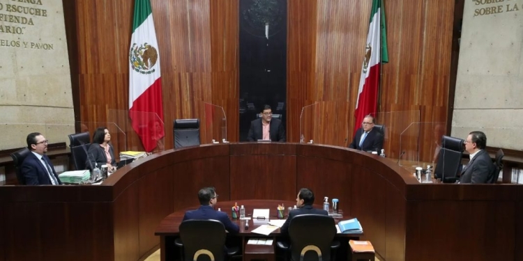 No veo con buenos ojos al TEPJF, ha hecho cosas indebidas: López Obrador