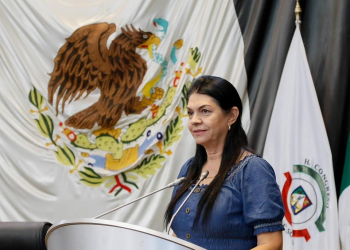 PRESENTA ERNESTINA CASTRO ADICIONES A LA LEY DE SALUD, EN MATERIA DE PRÁCTICAS DE LA MEDICINA ESTÉTICA
