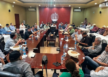 ACUERDAN REUNIRSE PRODUCTORES CON LA INDUSTRIA MOLINERA, PARA NEGOCIAR EL PRECIO