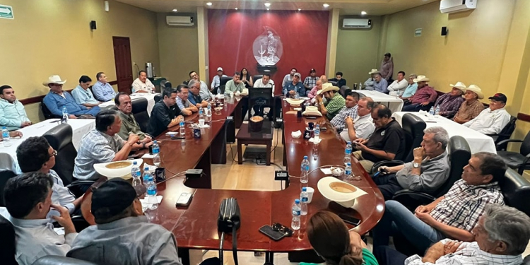 ACUERDAN REUNIRSE PRODUCTORES CON LA INDUSTRIA MOLINERA, PARA NEGOCIAR EL PRECIO