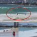 SALVAVIDAS RESCATAN A MENOR SALTILLENSE EN PLAYA DE ACAPULCO; OLEAJE LO HABRÍA ARRASTRADO