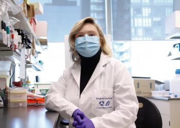 DESCUBRIMIENTO CIENTÍFICO REVELA QUE LAS CÉLULAS CANCEROSAS HIBERNAN COMO OSOS PARA EVADIR LA QUIMIOTERAPIA