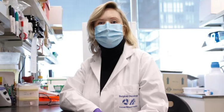 DESCUBRIMIENTO CIENTÍFICO REVELA QUE LAS CÉLULAS CANCEROSAS HIBERNAN COMO OSOS PARA EVADIR LA QUIMIOTERAPIA