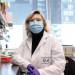 DESCUBRIMIENTO CIENTÍFICO REVELA QUE LAS CÉLULAS CANCEROSAS HIBERNAN COMO OSOS PARA EVADIR LA QUIMIOTERAPIA