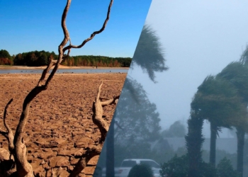SE ACABA DE FORMAR “EL NIÑO”, EL FENÓMENO QUE TRAERÁ MÁS CALOR AL MUND
