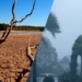 SE ACABA DE FORMAR “EL NIÑO”, EL FENÓMENO QUE TRAERÁ MÁS CALOR AL MUND