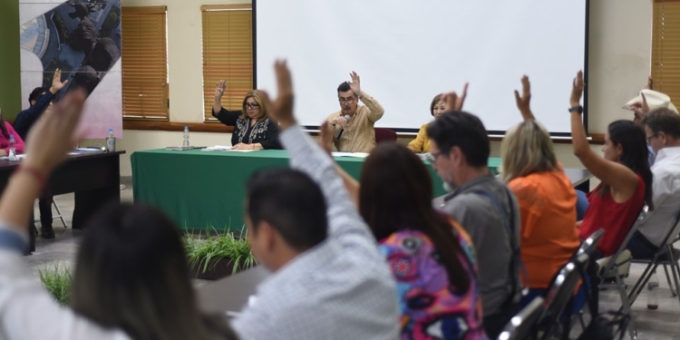 APRUEBA CABILDO REGLAMENTO PARA LA INSTALACIÓN DE ACCESOS CONTROLADOS A ZONAS HABITACIONALES