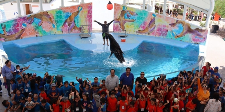 BRINDAN A ESTUDIANTES DE BAJOS RECURSOS PRESENTACIONES EDUCATIVAS SOBRE MAMÍFEROS MARINOS EN DELFINARIO SONORA