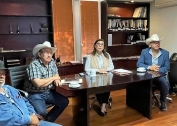 GOBIERNO DE SONORA RESPALDA A LOS PEQUEÑOS PRODUCTORES DE CHILTEPÍN