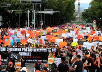 MILES DE PERSONAS EXIGEN UN ALTO AL MALTRATO ANIMAL