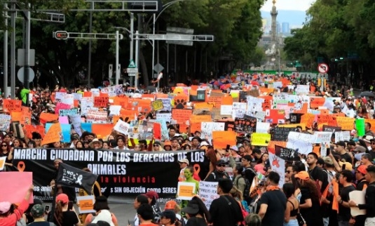 MILES DE PERSONAS EXIGEN UN ALTO AL MALTRATO ANIMAL