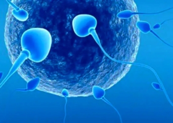 CALIDAD DE SEMEN BAJÓ EN LOS HOMBRES QUE TUVIERON COVID-19; ESTUDIO