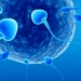 CALIDAD DE SEMEN BAJÓ EN LOS HOMBRES QUE TUVIERON COVID-19; ESTUDIO