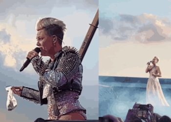 FAN DE LA CANTANTE PINK, LANZA CENIZAS DE SU MADRE EN ESCENARIO EN CONCIERTO