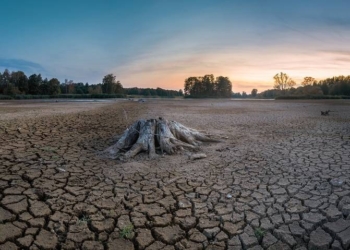 SONORA: SIN PROBLEMAS SEVEROS DE SEQUÍA PARA EL VERANO 2023