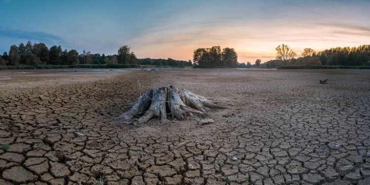 SONORA: SIN PROBLEMAS SEVEROS DE SEQUÍA PARA EL VERANO 2023
