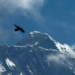 CINCO TURISTAS MEXICANOS Y UN PILOTO NEPALÍ MUEREN AL ESTRELLARSE SU HELICÓPTERO EN EL EVEREST