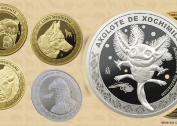 LANZAN MONEDA CONMEMORATIVA DE AJOLOTE Y OTROS ANIMALES; ASÍ LA PUEDES COMPRAR
