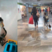¡UN PATO CON TENIS! FUE EL PASAJERO MAS FAMOSO EN EL METRO CDMX