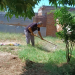 BRINDA SSPM Y DIF CAJEME APOYO A PERSONAS VULNERABLES