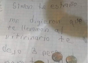 ASÍ SE ENCUENTRA SIMÓN, EL PERRITO QUE SU DUEÑO ABANDONÓ PARA QUE NO LE PEGARAN Y CRECIERA FELIZ