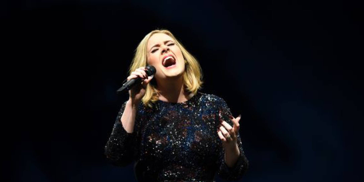 ADELE DETIENE SU CONCIERTO PARA DEFENDER A UN FAN Y PIDE A SEGURIDAD LO DEJEN EN PAZ