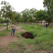 OOMAPASC EVALUA DAÑOS A LA RED SANITARIA Y DE ALCANTARILLADO MUNICIPAL TRAS LLUVIAS DE TORMENTA TROPICAL “HILARY”
