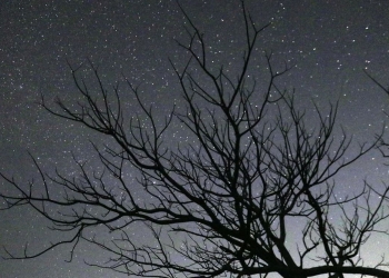 SUPERLUNAS Y LLUVIA DE ESTRELLAS EN AGOSTO; DESCUBRE LAS FECHAS PARA VERLAS