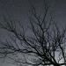 SUPERLUNAS Y LLUVIA DE ESTRELLAS EN AGOSTO; DESCUBRE LAS FECHAS PARA VERLAS
