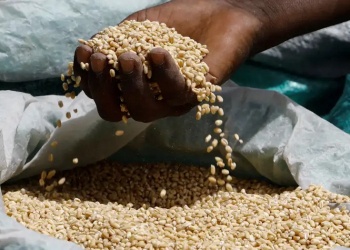 ONU ADVIERTE DE HAMBRE AGUDA SI SE RECORTAN FONDOS