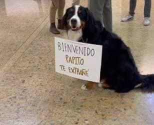 PERRITA RECIBE A SU DUEÑO EN EL AEROPUERTO CON UN MOTIVO MENSAJE