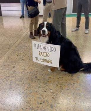 PERRITA RECIBE A SU DUEÑO EN EL AEROPUERTO CON UN MOTIVO MENSAJE