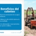 TE INVITAMOS A QUE CONOZCAS MAS DE LOS TRABAJOS QUE HACE OOMAPAS DE CAJEME
