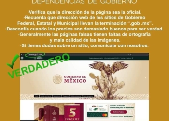 LOGRA UNIDAD CIBERNÉTICA DE SONORA BAJA DE SITIO WEB POR SUPLANTAR IDENTIDAD DE SEDENA