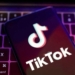 TIK TOK REALIZA EJERCICIO CON PAÍSES EUROPEOS PARA DETECTAR CONTENIDOS TERRORISTAS