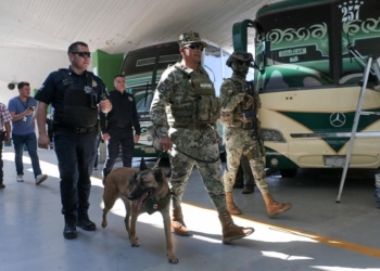 REALIZAN SSPM Y MARINA OPERATIVO CON BINOMIO CANINO EN LA CENTRAL DE AUTOBUSES