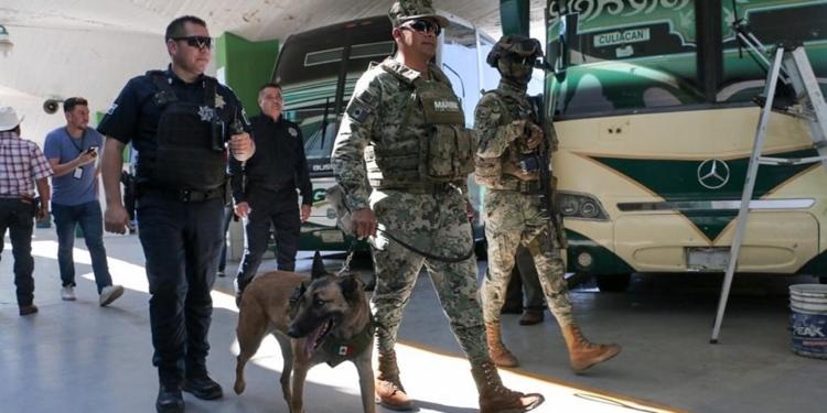 REALIZAN SSPM Y MARINA OPERATIVO CON BINOMIO CANINO EN LA CENTRAL DE AUTOBUSES