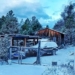 PRIMERA TORMENTA INVERNAL PROVOCA NEVADAS EN DURANGO, SINALOA Y CHIHUAHUA