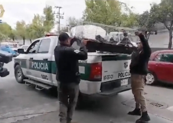 RESCATAN A 15 GATITOS Y UN PERRO QUE SE ENCONTRABAN ATRAPADOS EN JAULAS