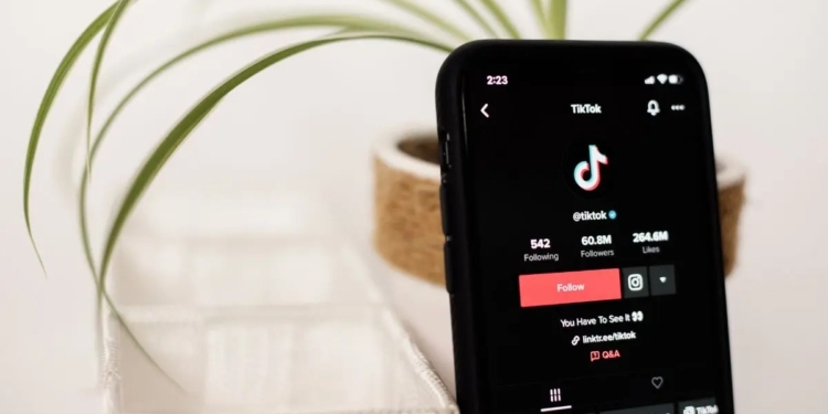 TIK TOK NIEGA EXISTENCIA DEL RETO DE LAS 48 HORAS