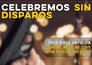 EXHORTA SECRETARÍA DE SEGURIDAD A CELEBRAR EL FIN DE AÑO SIN DISPAROS AL AIRE