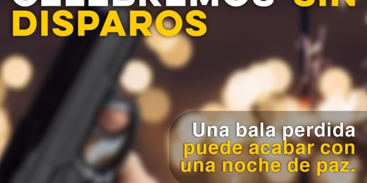 EXHORTA SECRETARÍA DE SEGURIDAD A CELEBRAR EL FIN DE AÑO SIN DISPAROS AL AIRE